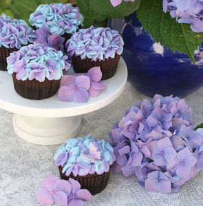 3f40c46dcd4d2b03801c28356272bf2c