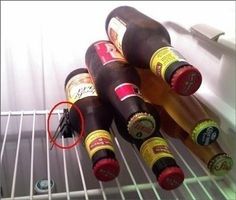 8820def632f68fce39852c41b59dacce