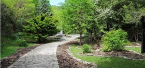 Jardin_Botanico_Santa_Catalina_Senda-636x303