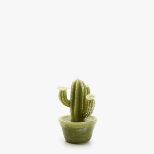 Vela cactus Zarahome
