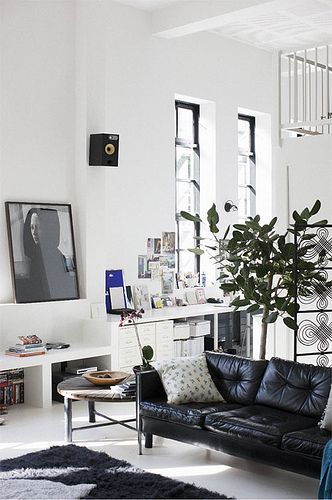 deco bho blanco y negro plantas