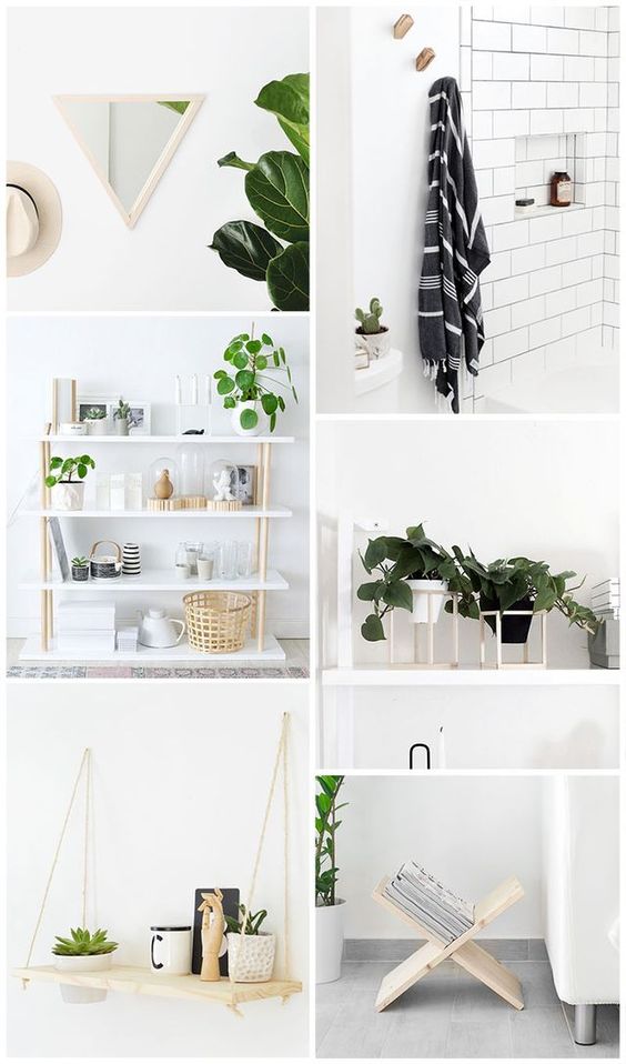 plantas boho