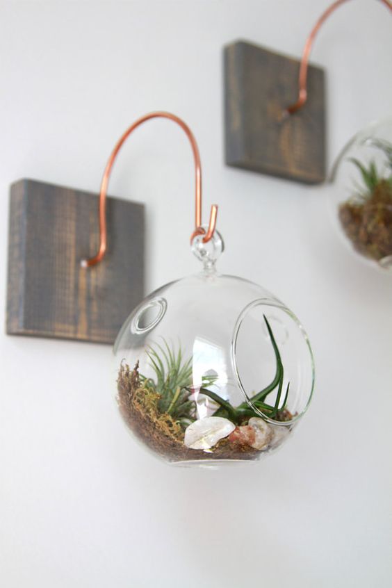 7e4093249f9193504685c1f15bed63a5