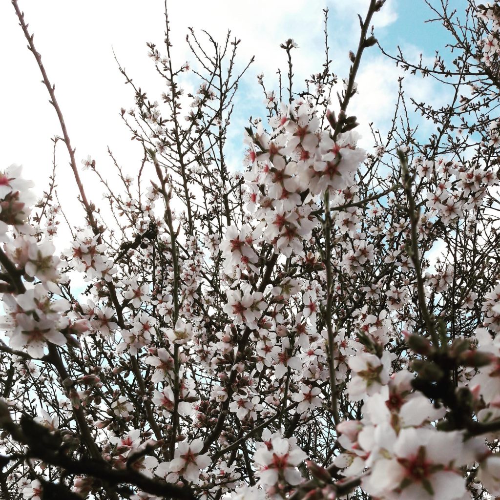 La felicidad después del orden&nbsp;(LFDDO)