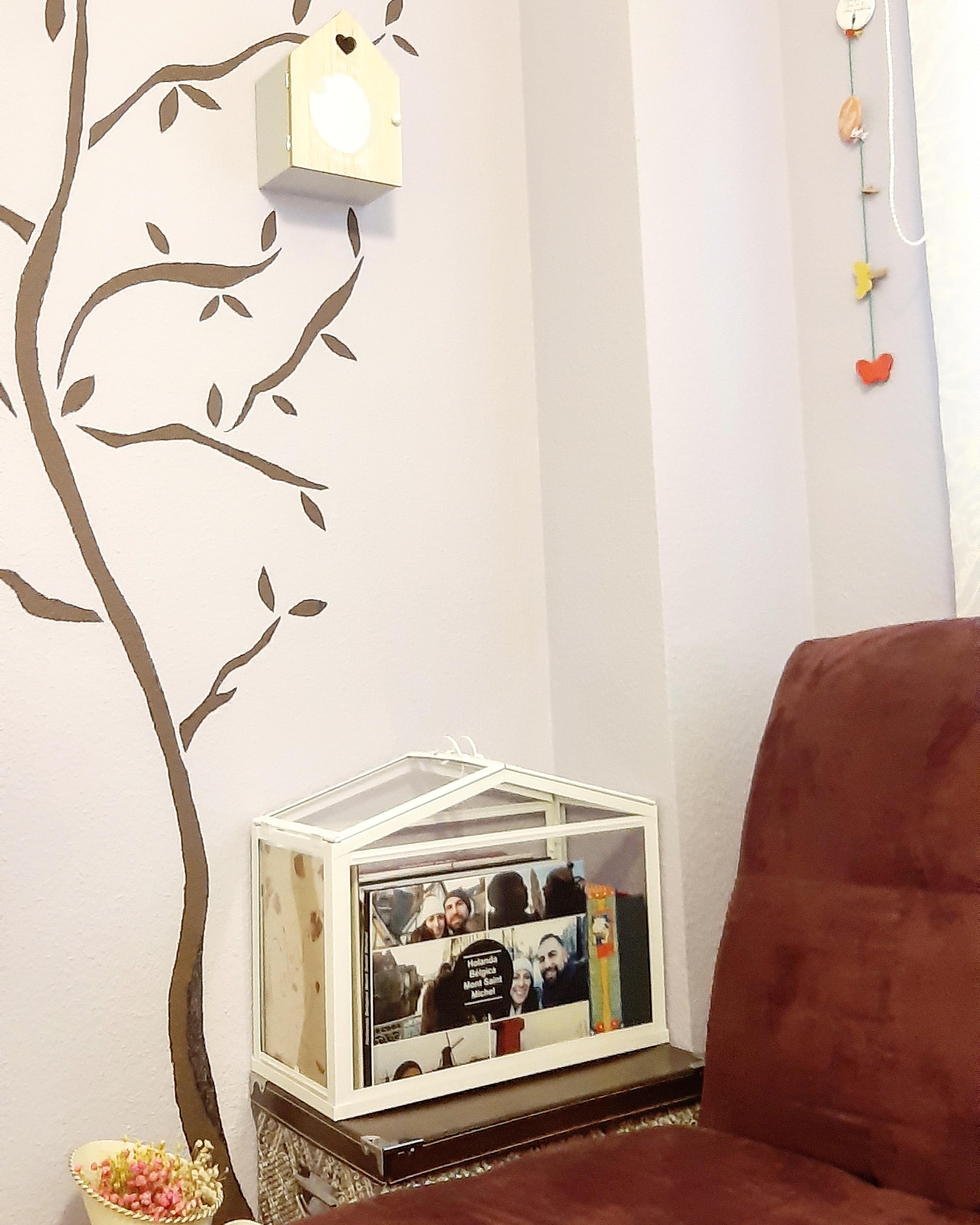 Invernadero álbumes fotos