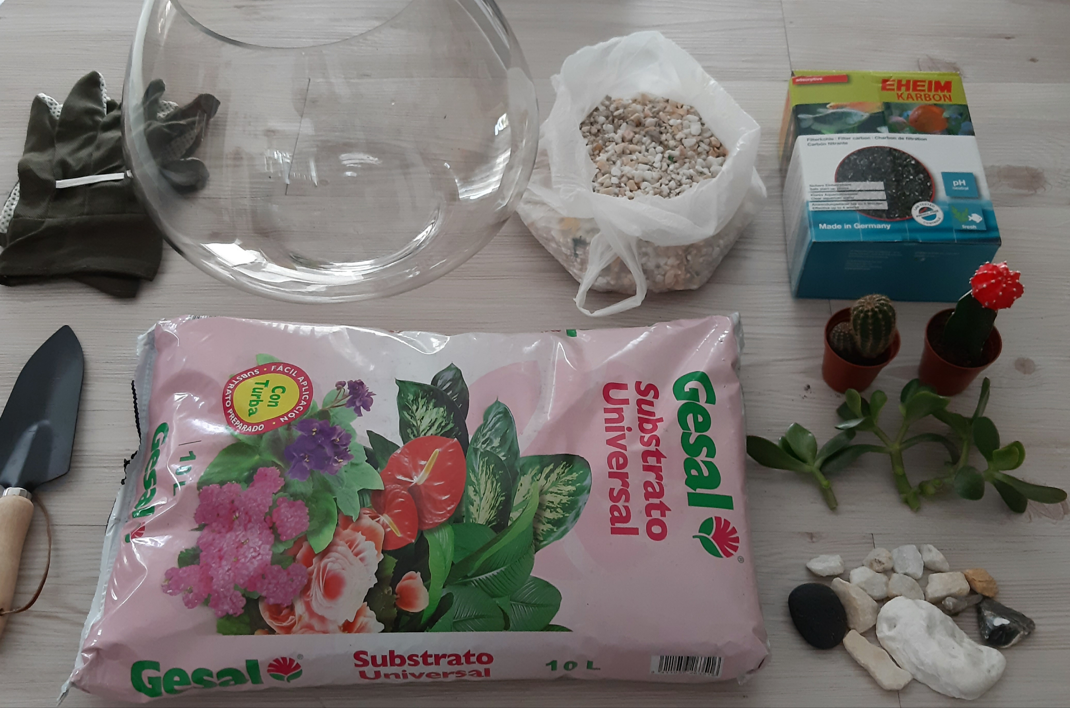 Materiales para hacer un terrario
