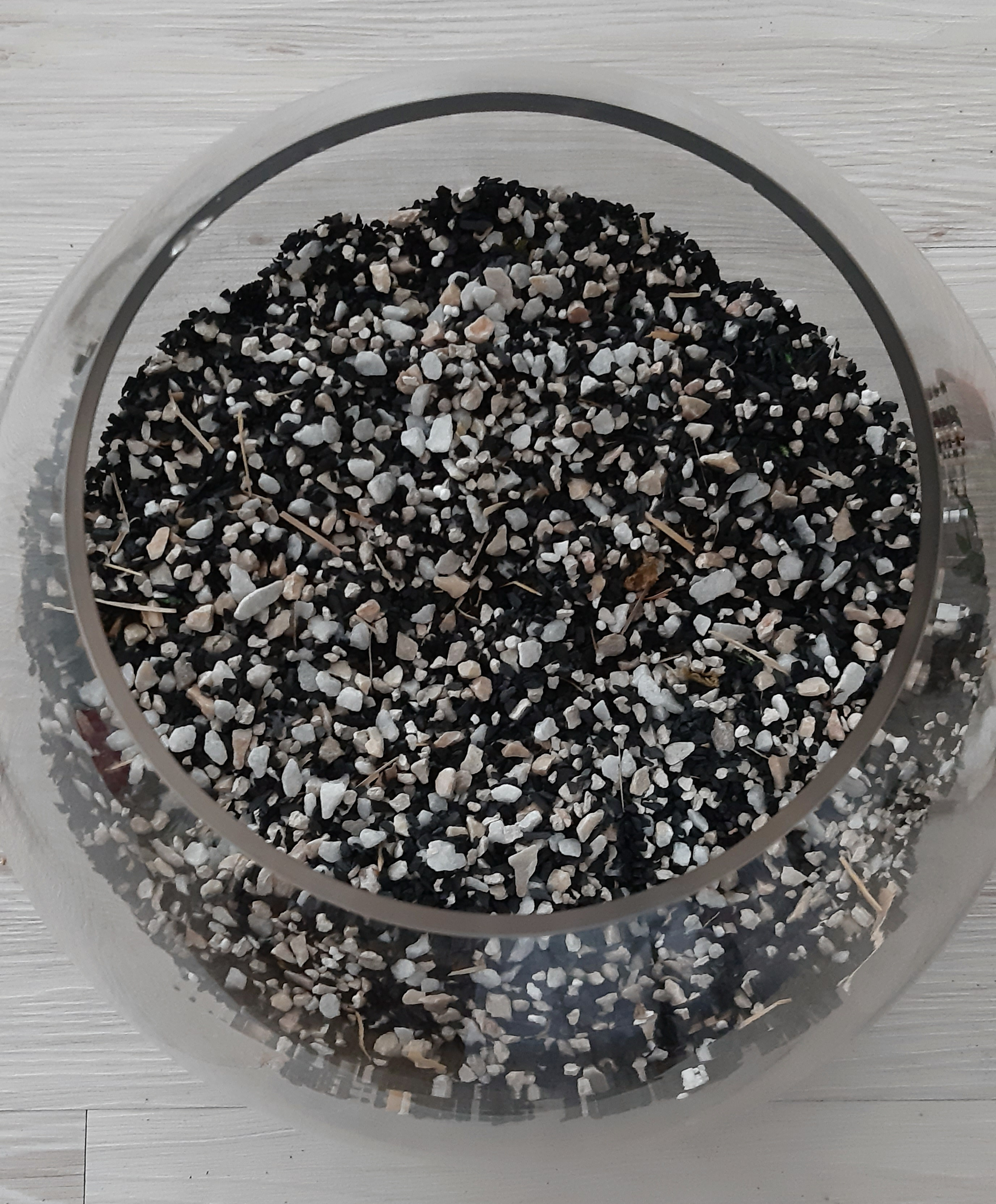 Terrario_capa drenante